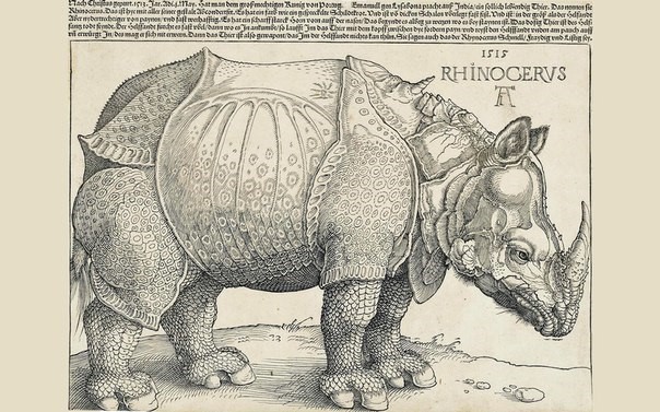 Альберт Дюрер. Носорог, 1515 г.